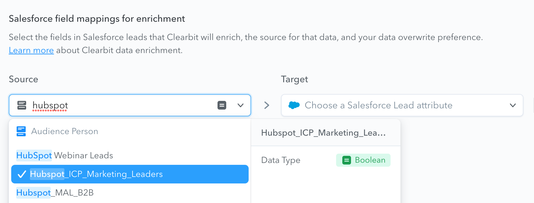 mapping a specific audience to Salesforce as a Boolean