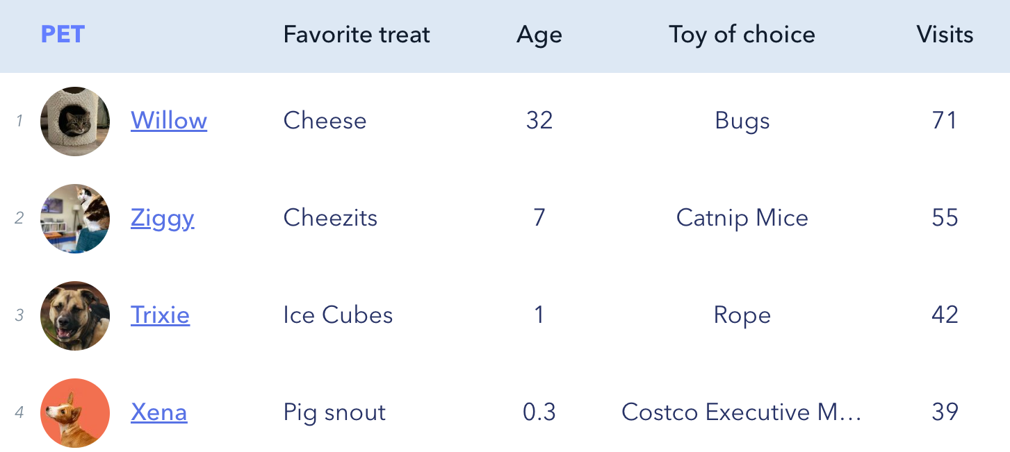 report preview showing 4 pets and their attributes