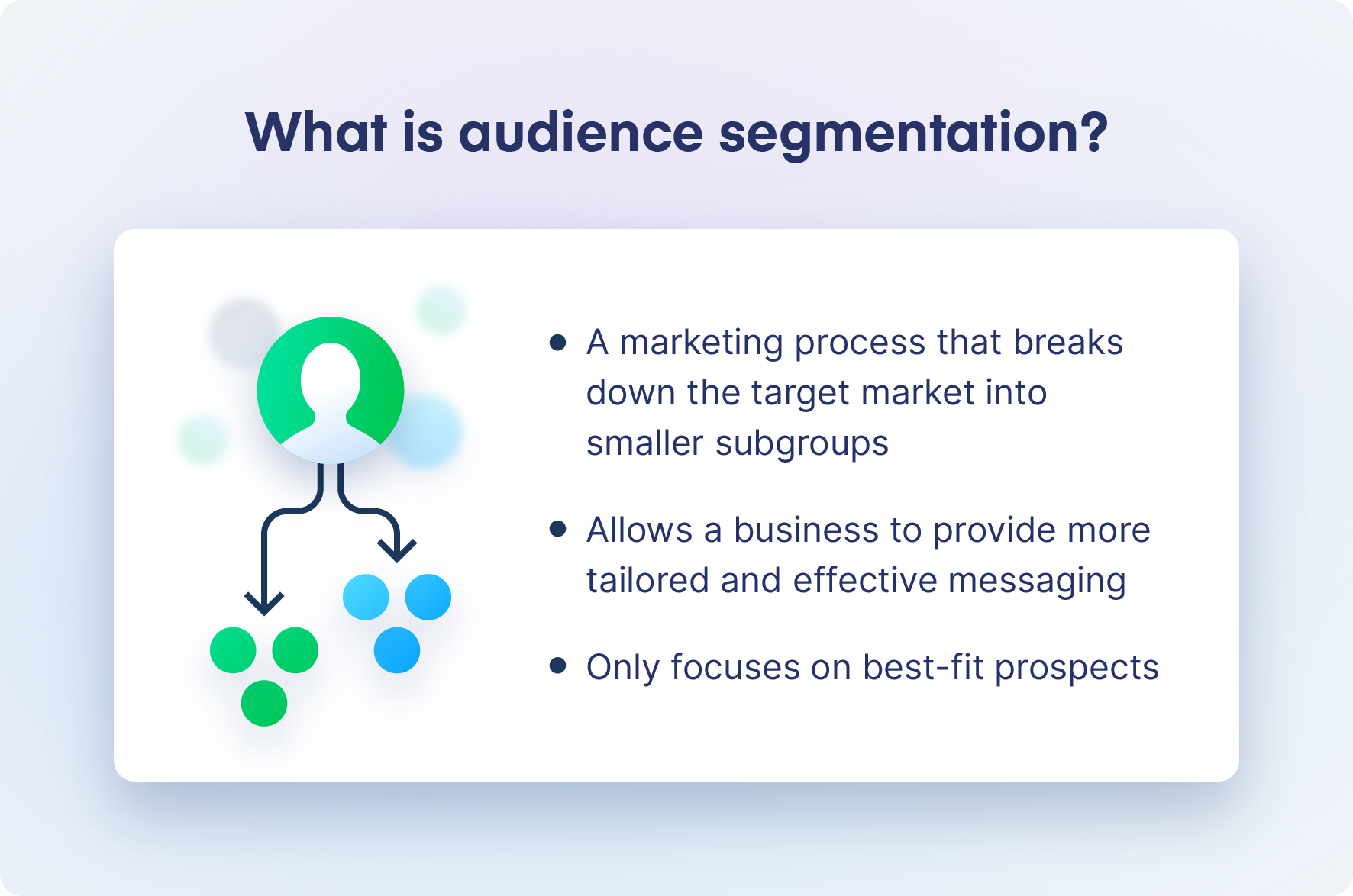 what is audience segmentation?